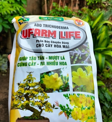 Phân Bón Chuyên Dùng Cho Hoa Mai (kích hoa đồng loạt) Phân Bón Chuyên Dùng Cho Hoa Mai (kích hoa đồng loạt)