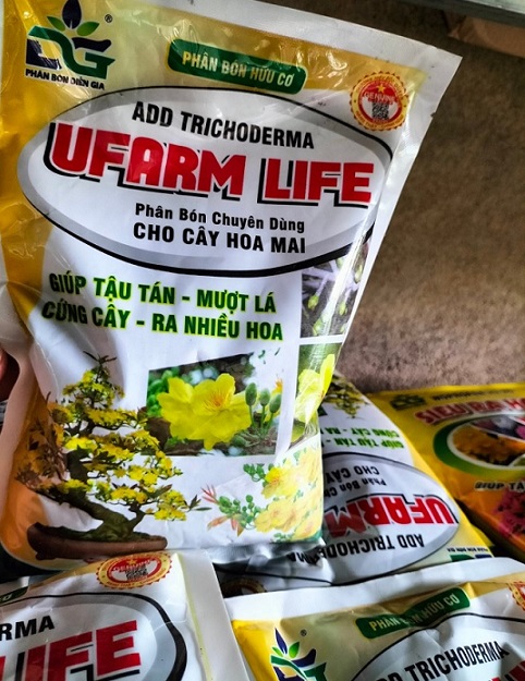 Phân Bón Chuyên Dùng Cho Hoa Mai (kích hoa đồng loạt) Phân Bón Chuyên Dùng Cho Hoa Mai (kích hoa đồng loạt)
