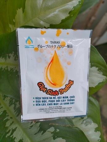 Phân Bón Kích Thích Rễ Giải Độc Cây Trồng Phân Bón Kích Thích Rễ Giải Độc Cây Trồng