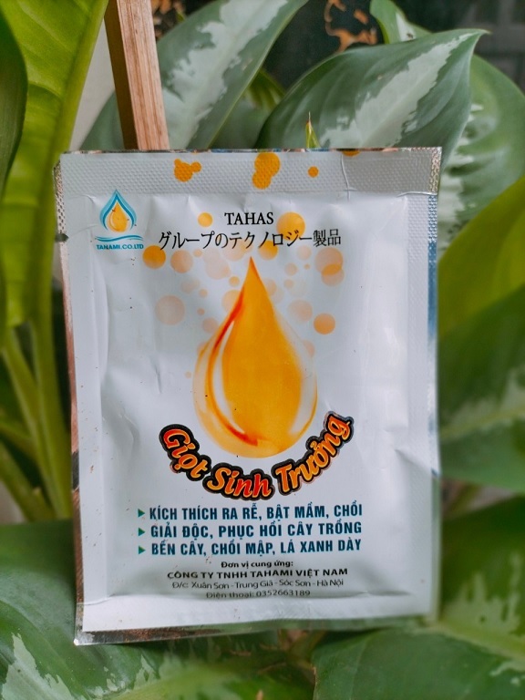 Phân Bón Kích Thích Rễ Giải Độc Cây Trồng Phân Bón Kích Thích Rễ Giải Độc Cây Trồng
