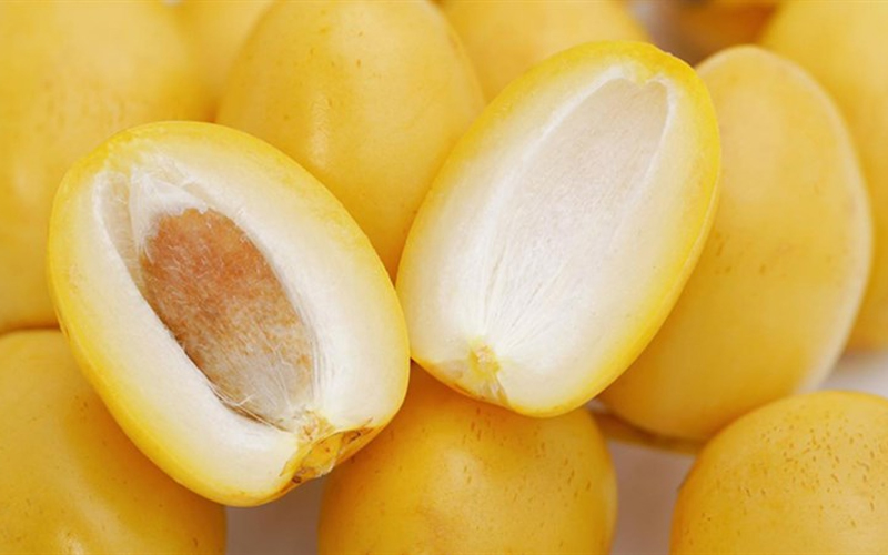 dinh dưỡng từ trái chà là Thái Lan dinh dưỡng từ trái chà là Thái Lan