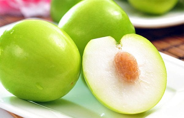Táo Ninh Thuận Táo Ninh Thuận