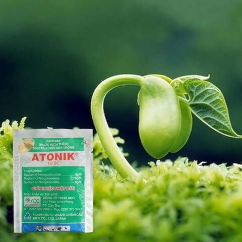 Thuốc Kích Thích Sinh Trưởng Cho Cây Trồng Atonik Thuốc Kích Thích Sinh Trưởng Cho Cây Trồng Atonik