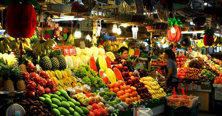 Top giống cây ăn quả thích hợp khí hậu miền Nam Top giống cây ăn quả thích hợp khí hậu miền Nam