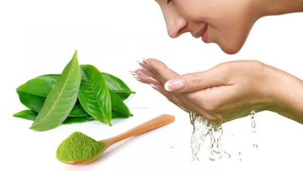 Trà Xanh – Cây Thuốc Vườn Nhà, Giải Độc, Đẹp Da, Khỏe Mỗi Ngày Trà Xanh – Cây Thuốc Vườn Nhà, Giải Độc, Đẹp Da, Khỏe Mỗi Ngày
