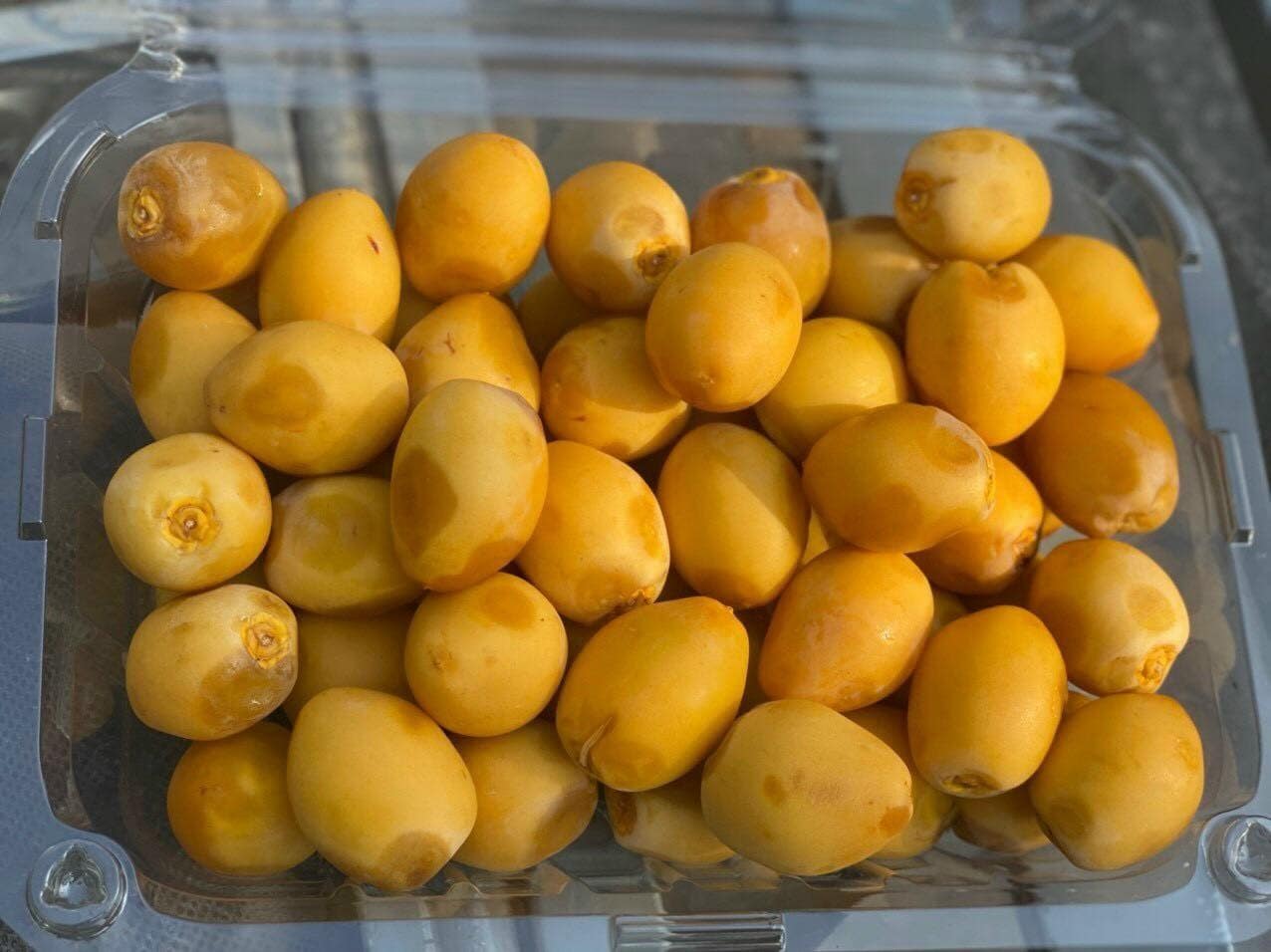 dinh dưỡng từ trái chà là Thái Lan dinh dưỡng từ trái chà là Thái Lan