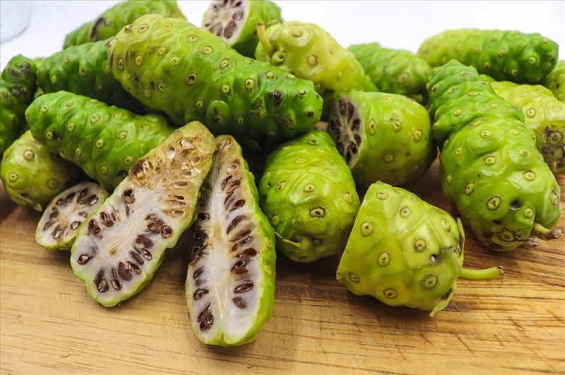 trái nhàu có tốt không trái nhàu có tốt không